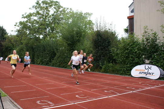 DSC08742.jpg