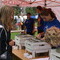 DSC08353.jpg