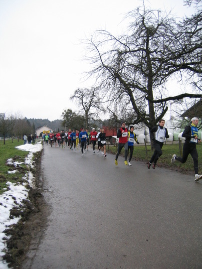 IMG_7536.jpg