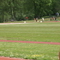 DSC09965.jpg