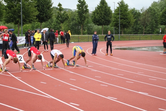 IMG_4851.jpg