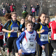 news_2012/20120218_Kant_Cross_MS