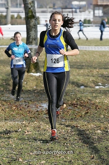 tn_kp8e5311.jpg