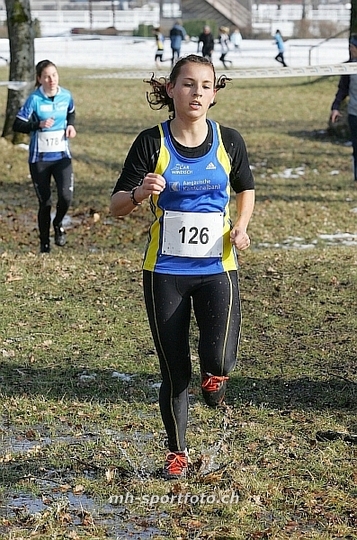 tn_kp8e5312.jpg