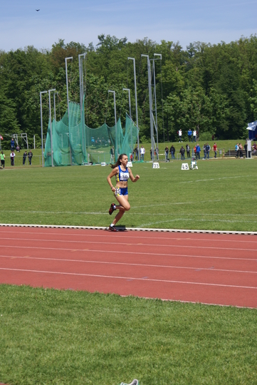 DSC03178.jpg