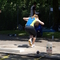 DSC03384.jpg