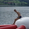 DSC03589.jpg