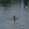 DSC03591.jpg