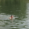 DSC03592.jpg