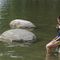 DSC03597.jpg