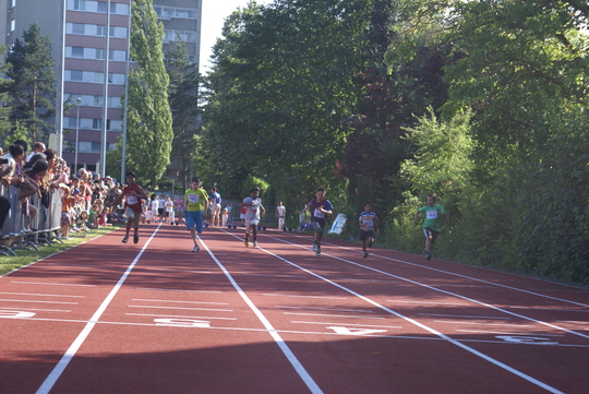 DSC03702.jpg