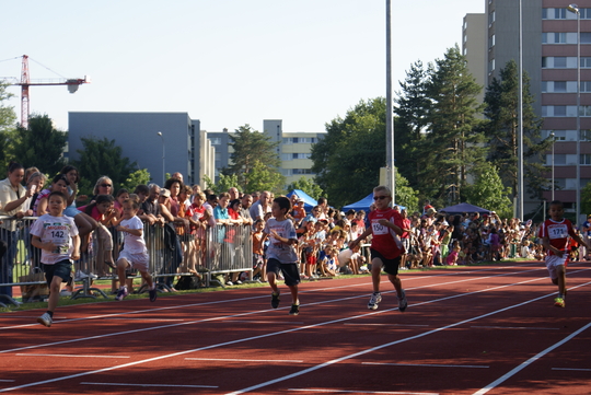 DSC03704.jpg
