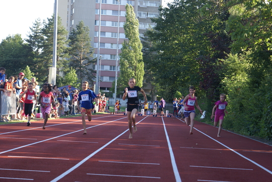 DSC03779.jpg