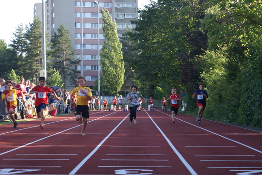 DSC03782.jpg