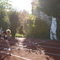 DSC04439.jpg