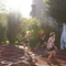 DSC04449.jpg