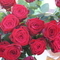 DSC04513.jpg