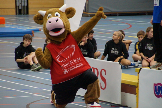 DSC05268.jpg