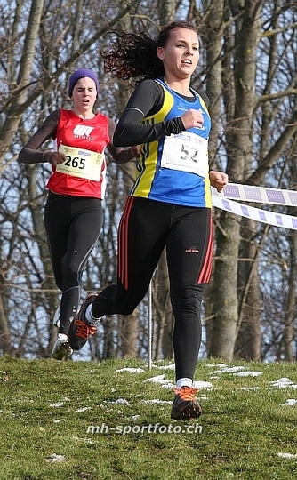 tn_img_2049.jpg