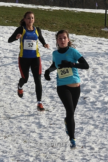 tn_img_2067.jpg