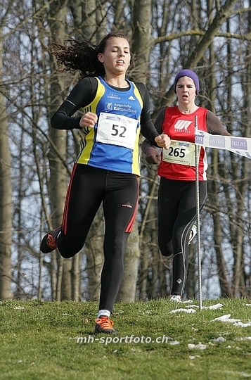 tn_kp8e0554.jpg