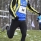tn_img_2287.jpg
