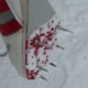 news_2013/20130223_Cross_Tesserete_Meltingen