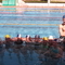 P1000496.jpg