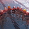 P1000498.jpg