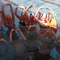 P1000501.jpg