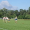 DSC06208.jpg