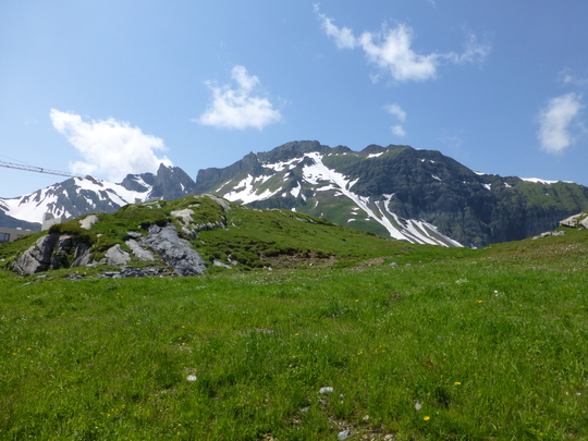 P1000127.jpg