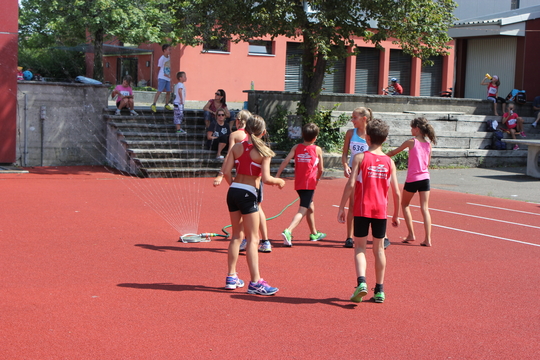 IMG_4627.jpg