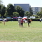 IMG_4622.jpg