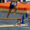 DSC07214.jpg