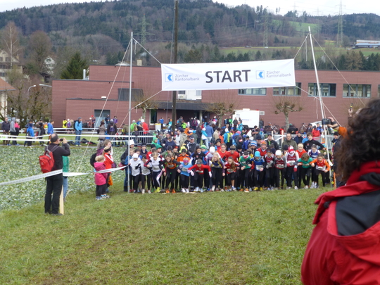 P1000590.jpg