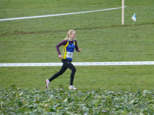 P1000592.jpg