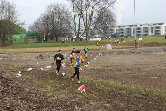 IMG_5950.jpg