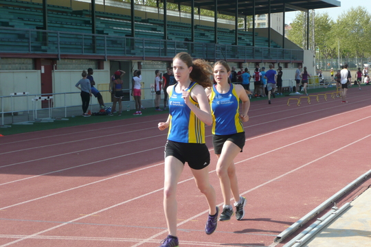 P1050426.jpg