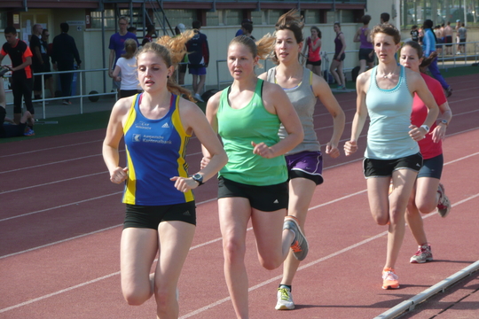 P1050428.jpg