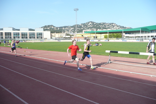 P1050435.jpg