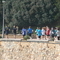 P1050404.jpg