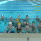 P1050451.jpg