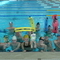 P1050454.jpg