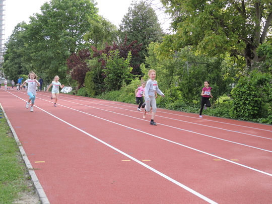 DSCN0650.jpg