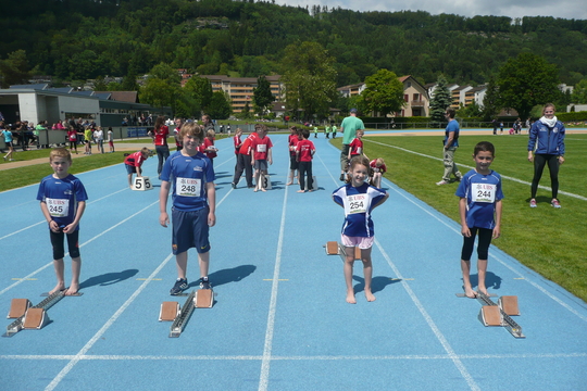 P1050513.jpg