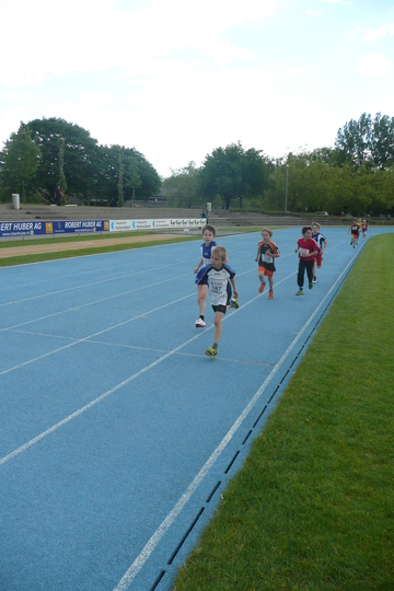 P1050516.jpg