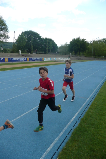 P1050517.jpg