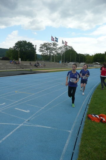 P1050533.jpg