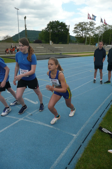 P1050535.jpg